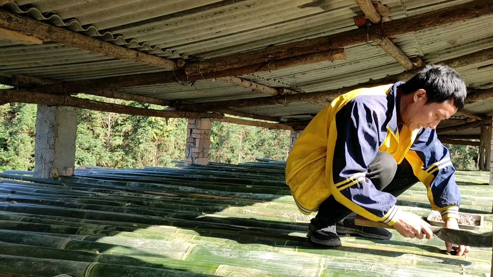 传统养鸡方法都错了!小伙建鸡棚不花钱还实用!这次养鸡有保障了