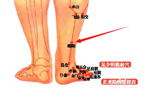 腰脊强痛