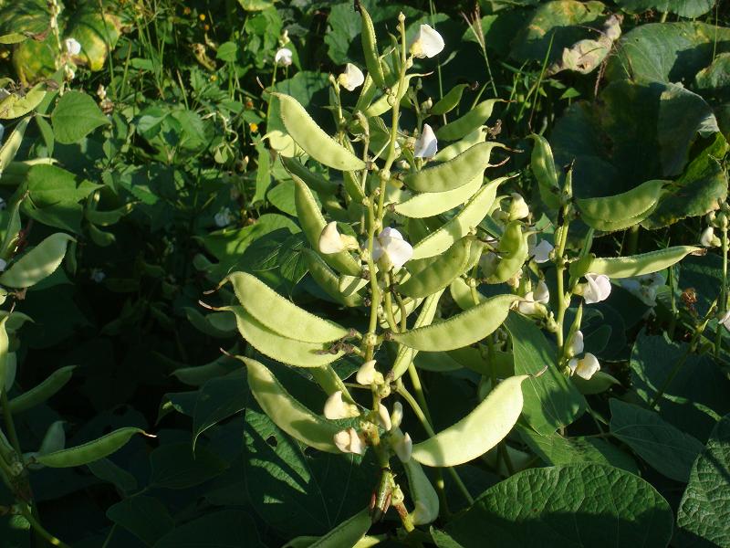 菜- 热门商品专区