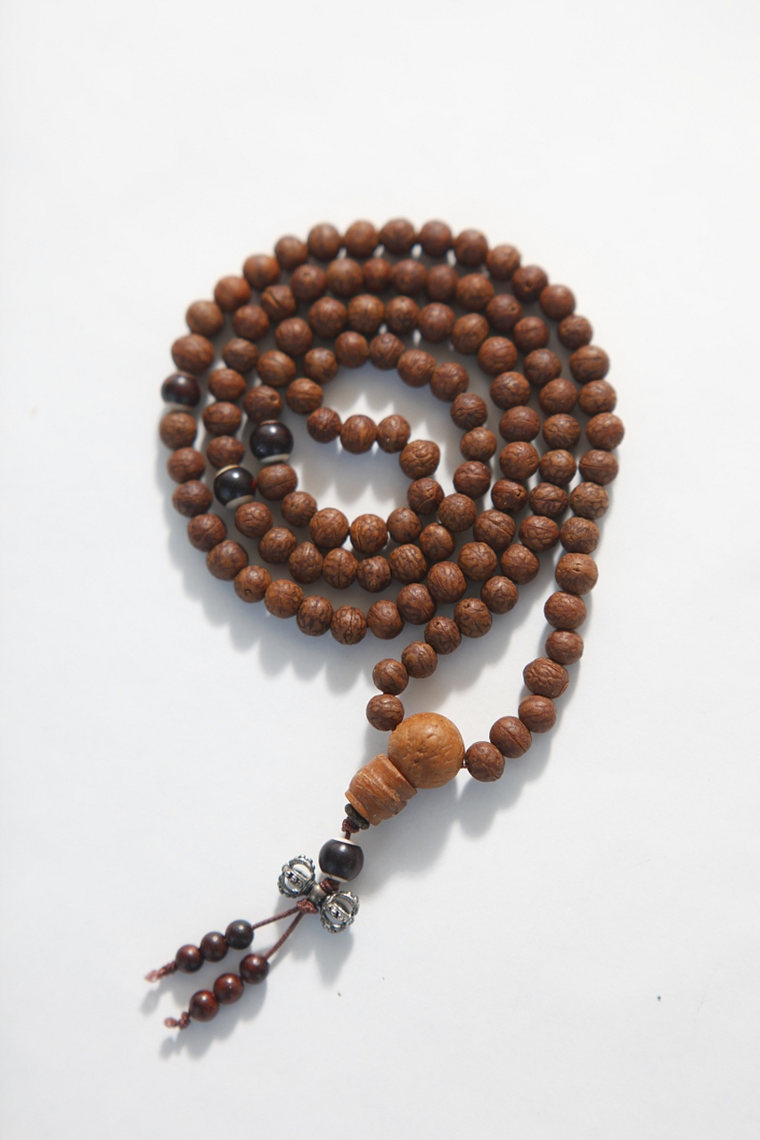 收获时注意选择成熟的果实摘取.[原文:小盼菩提的养殖方法