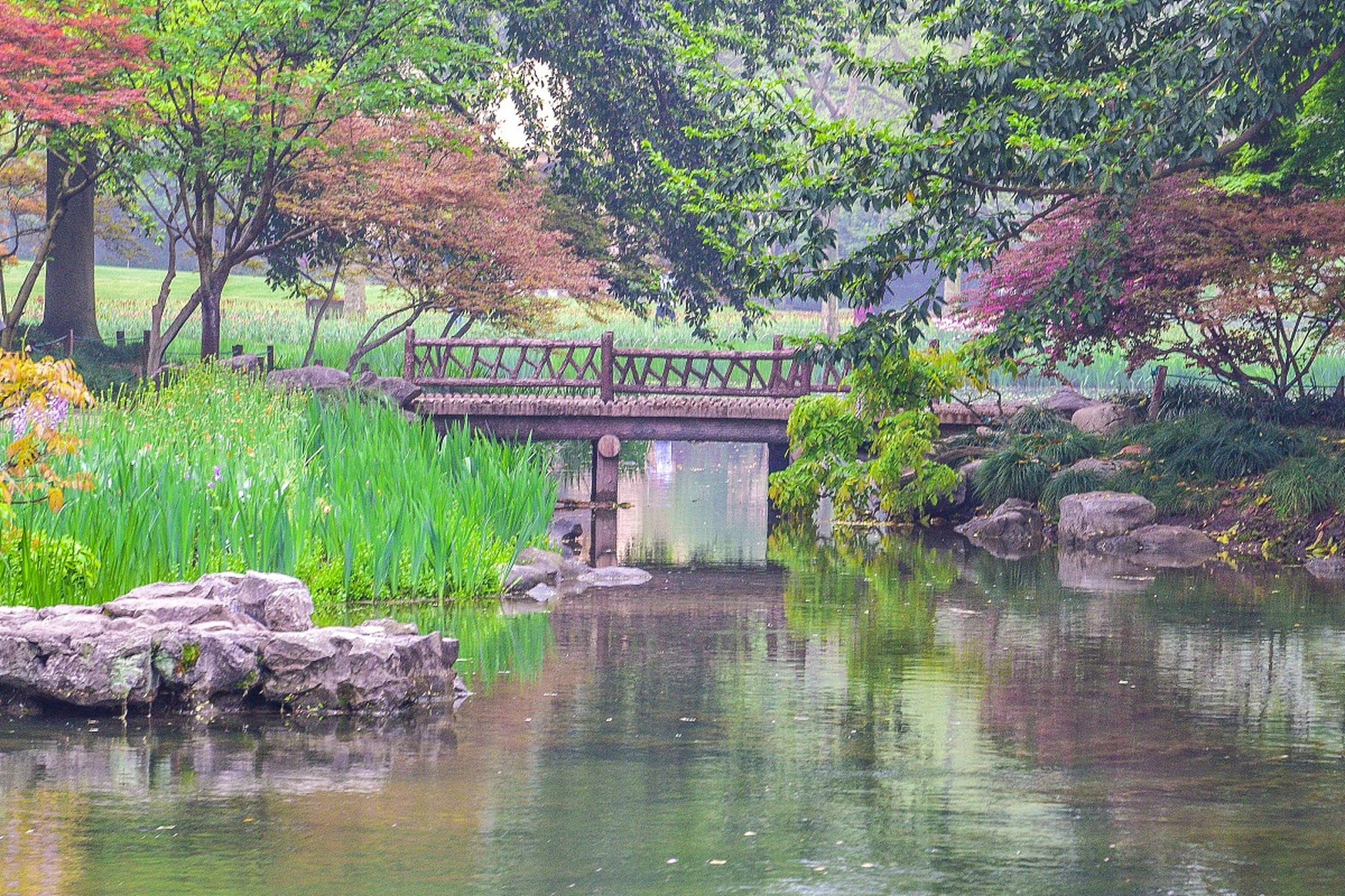 杭州太子湾公园景色图片