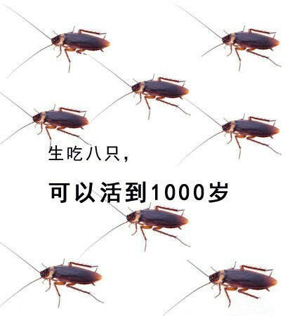 国外奇葩测试:生吃蟑螂实现各种愿望,网友:我愿意生吃一把!