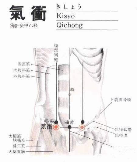 按摩腹股沟男生图片