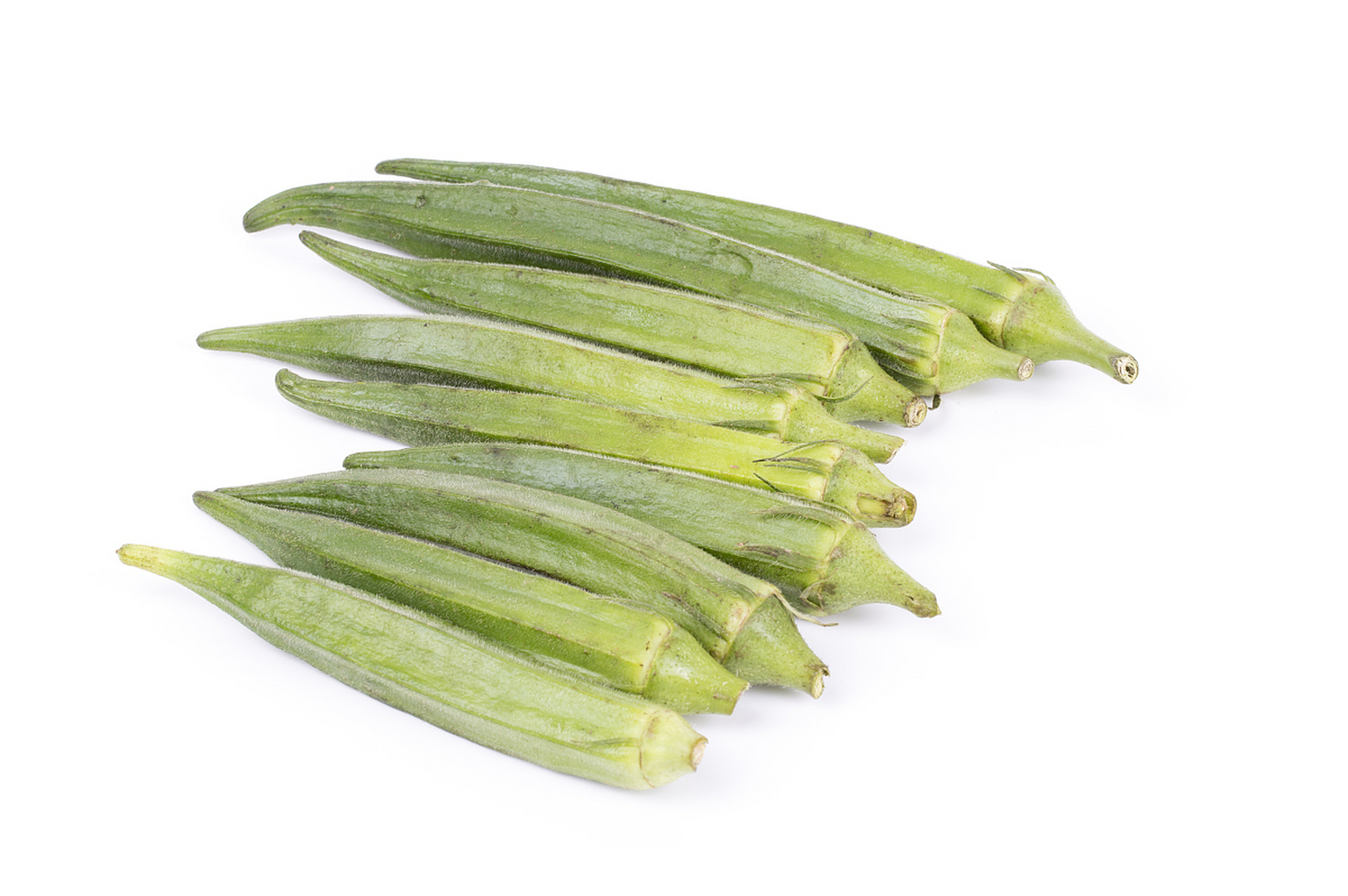 秋葵是一种短日照喜温的作物,耐热怕寒.