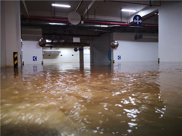 好强势的雨!淹了郴州政务中心的地下车库