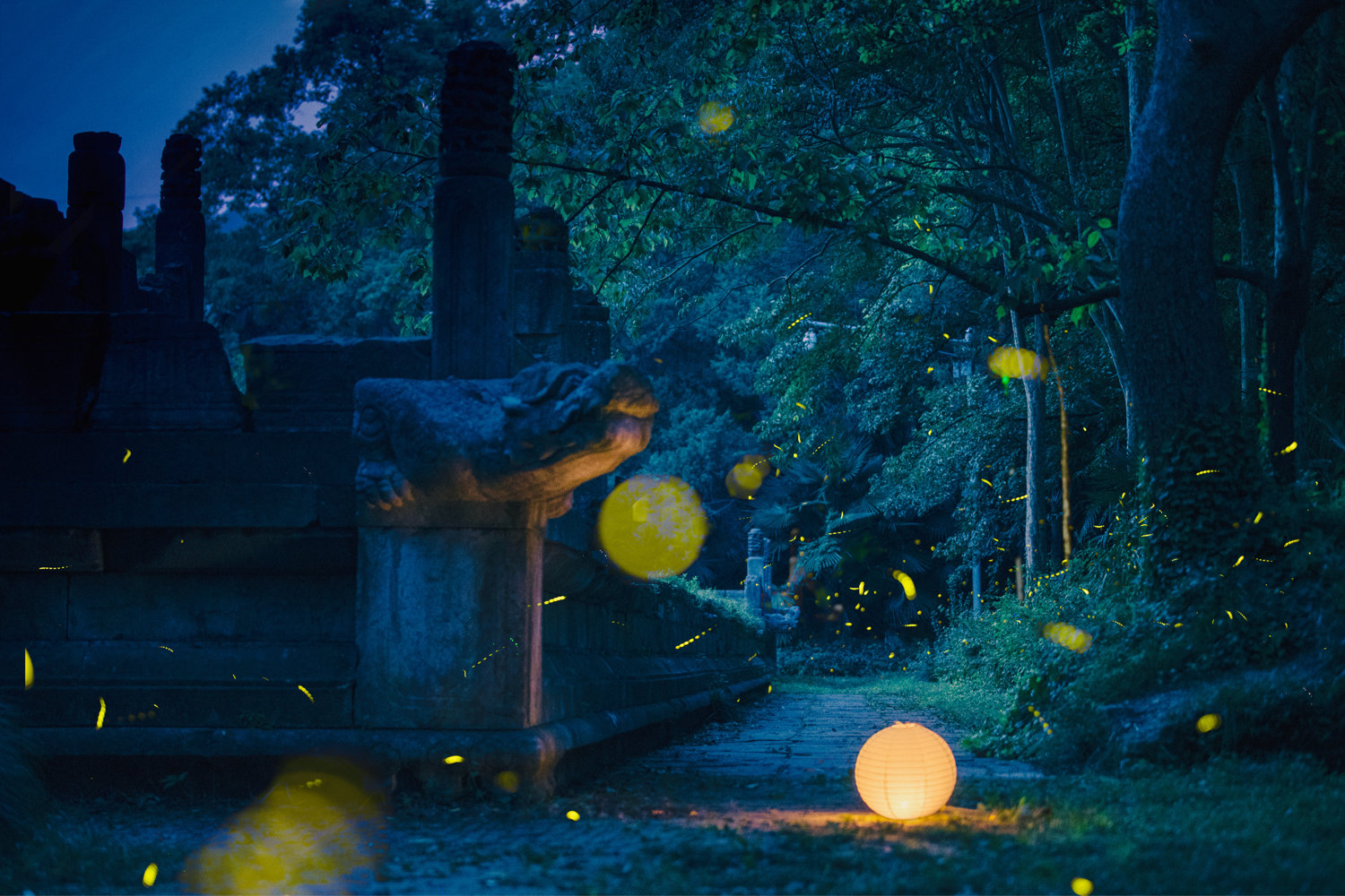 风光摄影:灵谷寺萤火虫