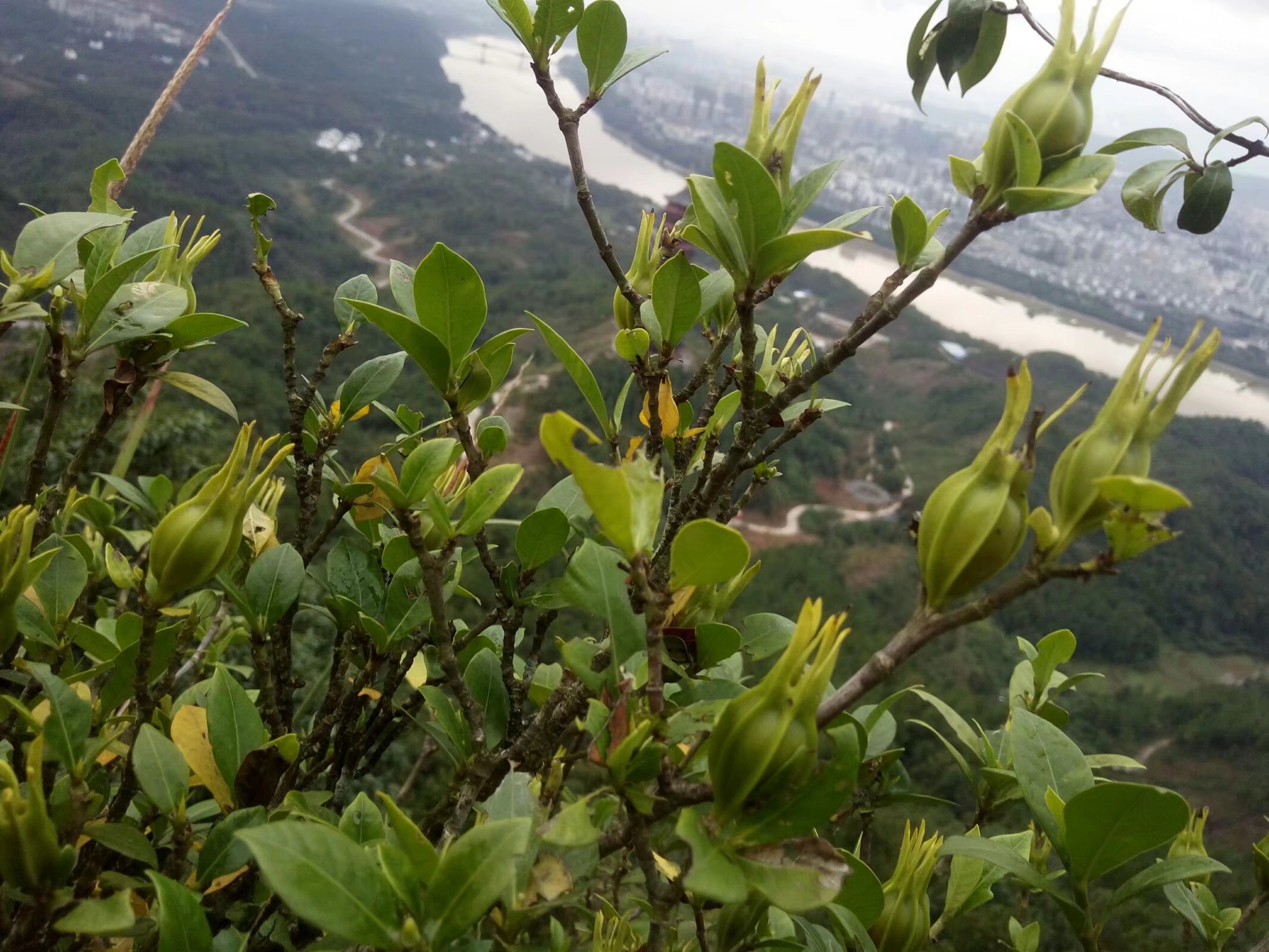 故乡马龙的照片图片