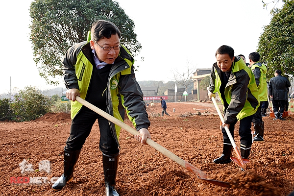 为湘潭创森添绿 曹炯芳等市领导与市民一起义务植树