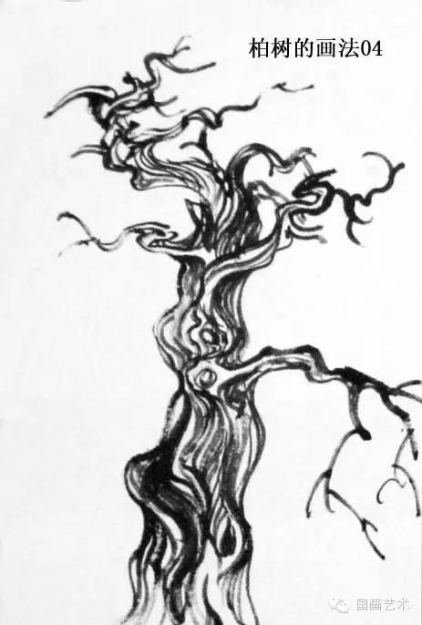 山水画基础教程——柏树画法分步图解