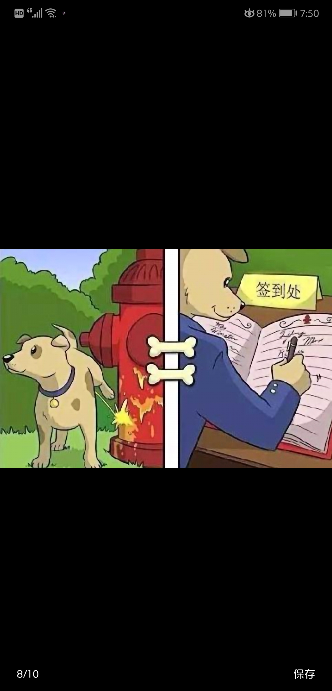 狗狗眼里的世界到底是怎样的?看到它们为何不愿洗澡,真相了