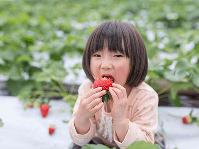 家里不用了的瓶瓶罐罐不要丢,种上几株草莓,让孩子吃一夏天