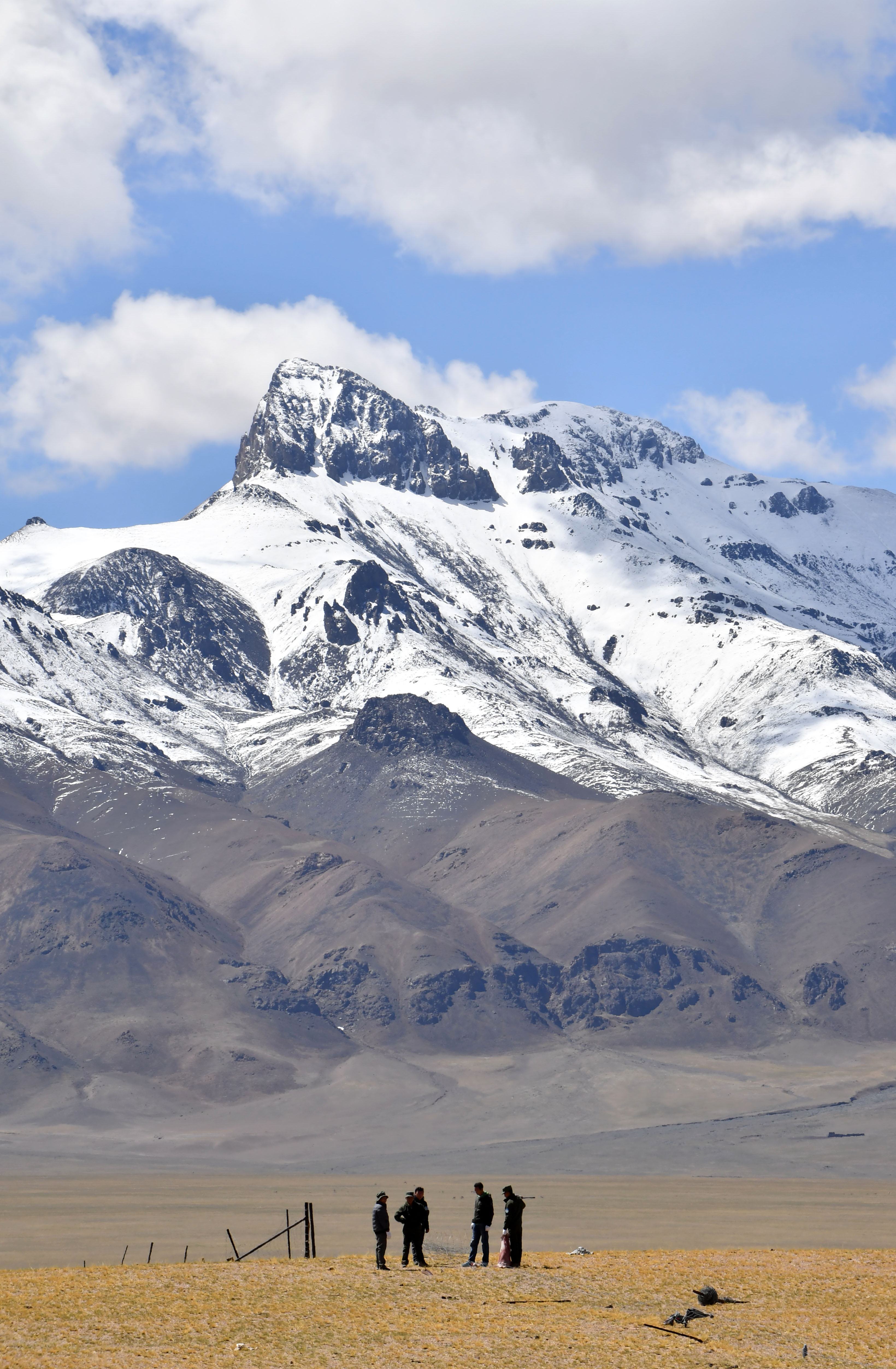 西藏羌塘国家级自然保护区启动网围栏拆除工作(2)