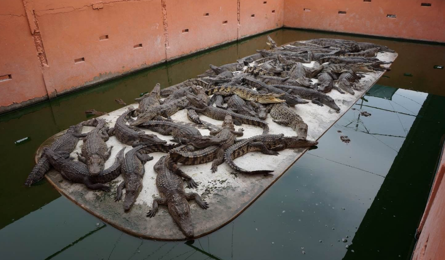 也叫北榄泰国南部城市,沙没巴干府首府,bang kra jao公园