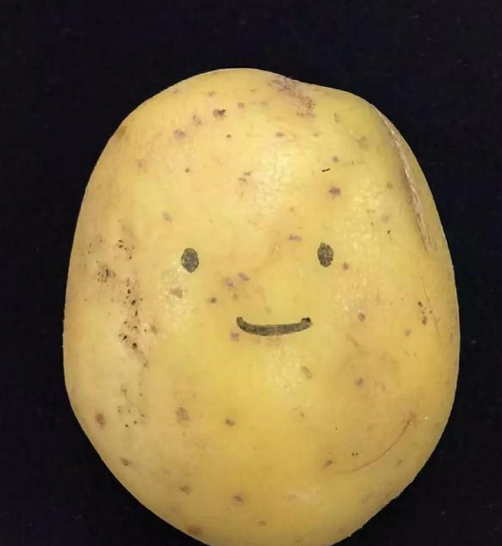 土豆人脸表情包图片