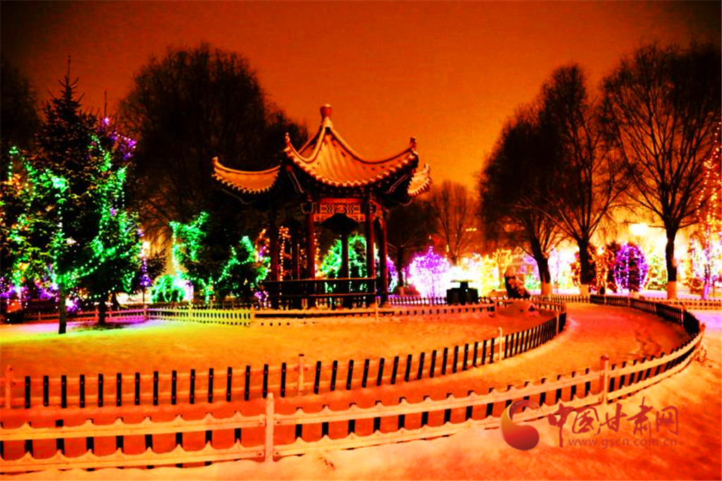图为雪中岷县人民公园夜景.后斌杰 摄