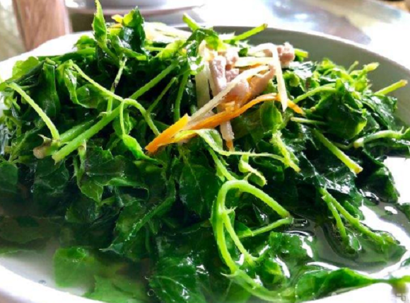 这野菜叫"簕菜"全身是刺,以前被当作杂草,如今城里人抢着吃