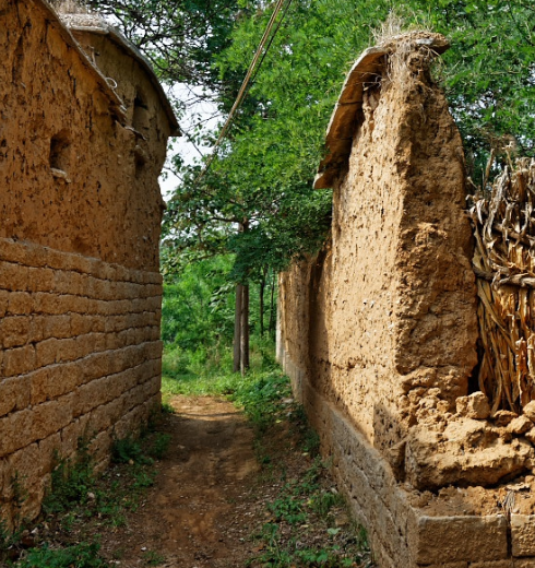 这一面土墙的拐角有一处坍塌,里面用玉米秸做了一道篱笆.