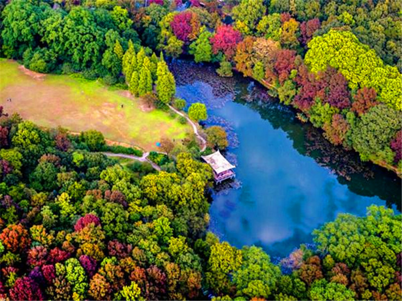 钟山风景区——国家森林公园,中国旅游胜地四十佳