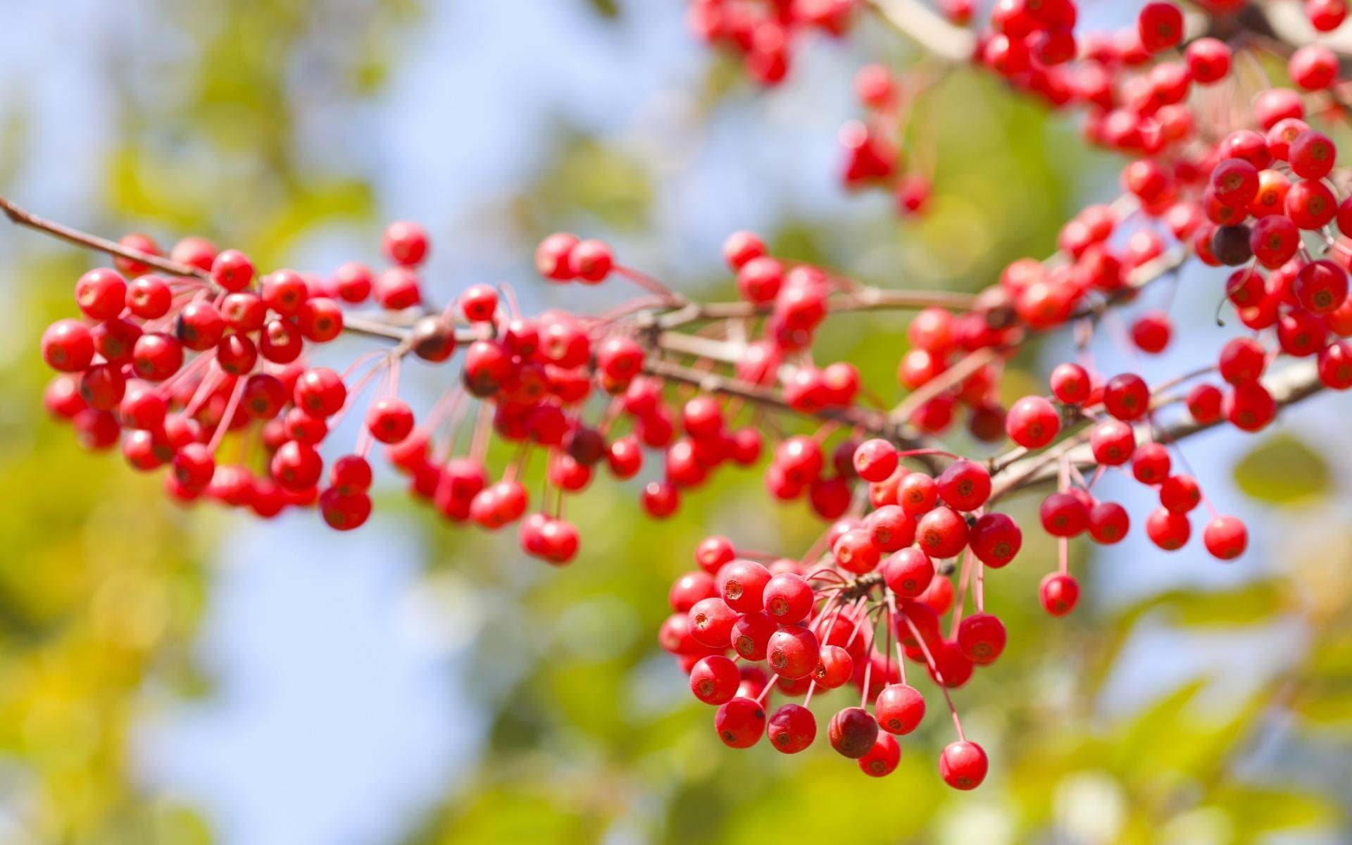 10月25日后,贵人相助,气纳百财,好运挡都挡不住的星座