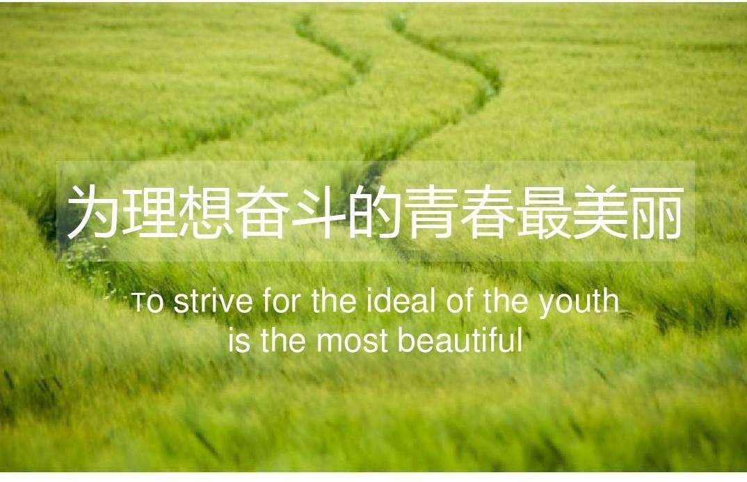 谁还没有个糟糕的青春,只要努力,人生会回报你微笑