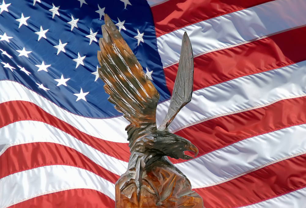 美国国旗上的鹰图片