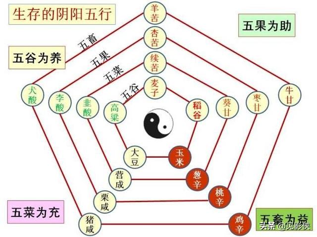 电影《疯狂的外星人》中强大的"巴普洛夫"与"五畜奶奶"是什么