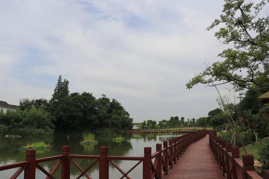 上海大学生眼中的吴家湾,可不只是好看而已