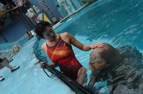 奥运冠军乐靖宜现况:曾破奥运会纪录,现创业办俱乐部!