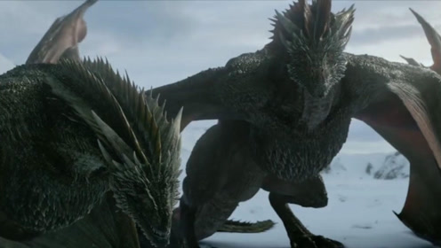 池- 热门商品专区