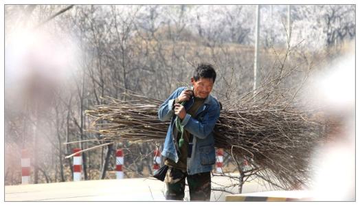 牛浦郎 baijiahao.baidu.com