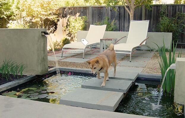 庭院花园里的荷塘鱼池,没想到防腐木也能被用在鱼池的装修设计上