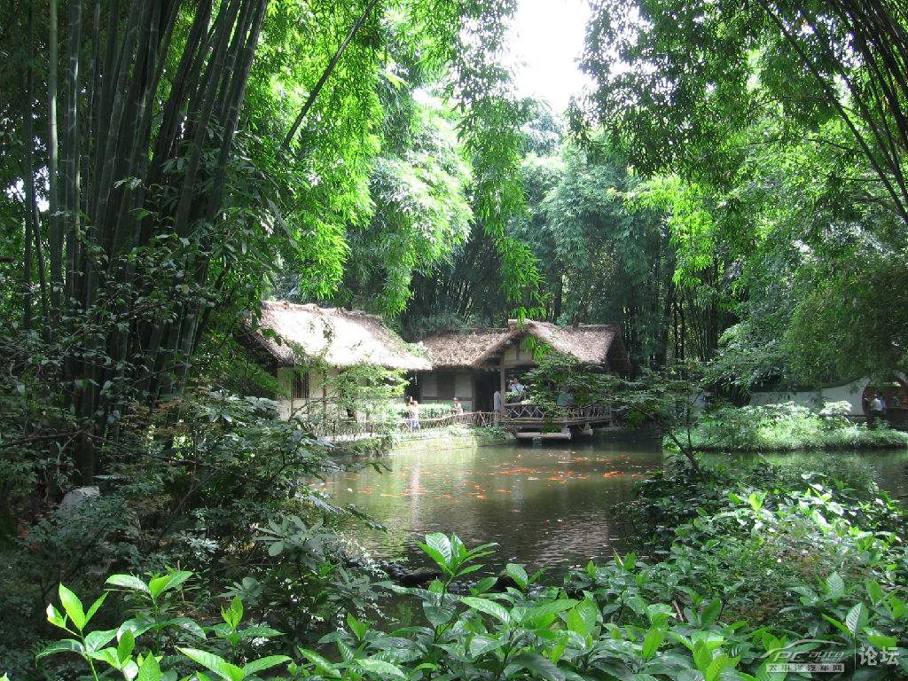 竹林茅屋隐居图片图片