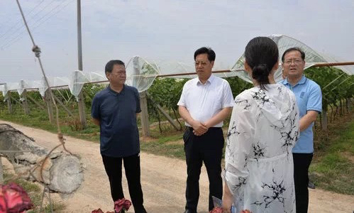 马希良来乾督导调研脱贫攻坚工作