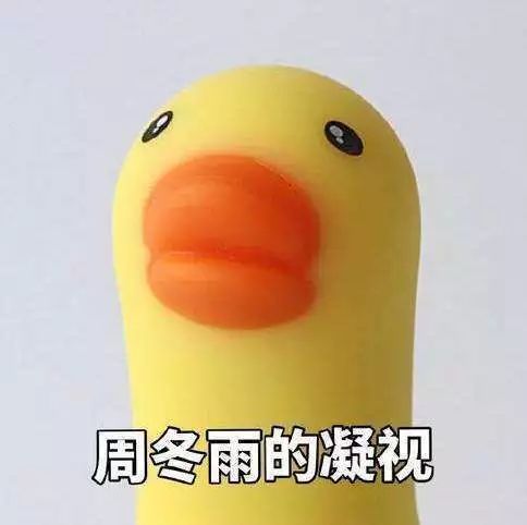 "小黄鸭"周冬雨凭什么成"福布斯2019中国名人榜"女星第一名?