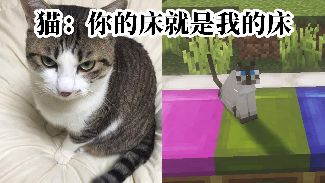 我的世界:六种游戏生物与现实行为对比,谁还敢说mc不真实?