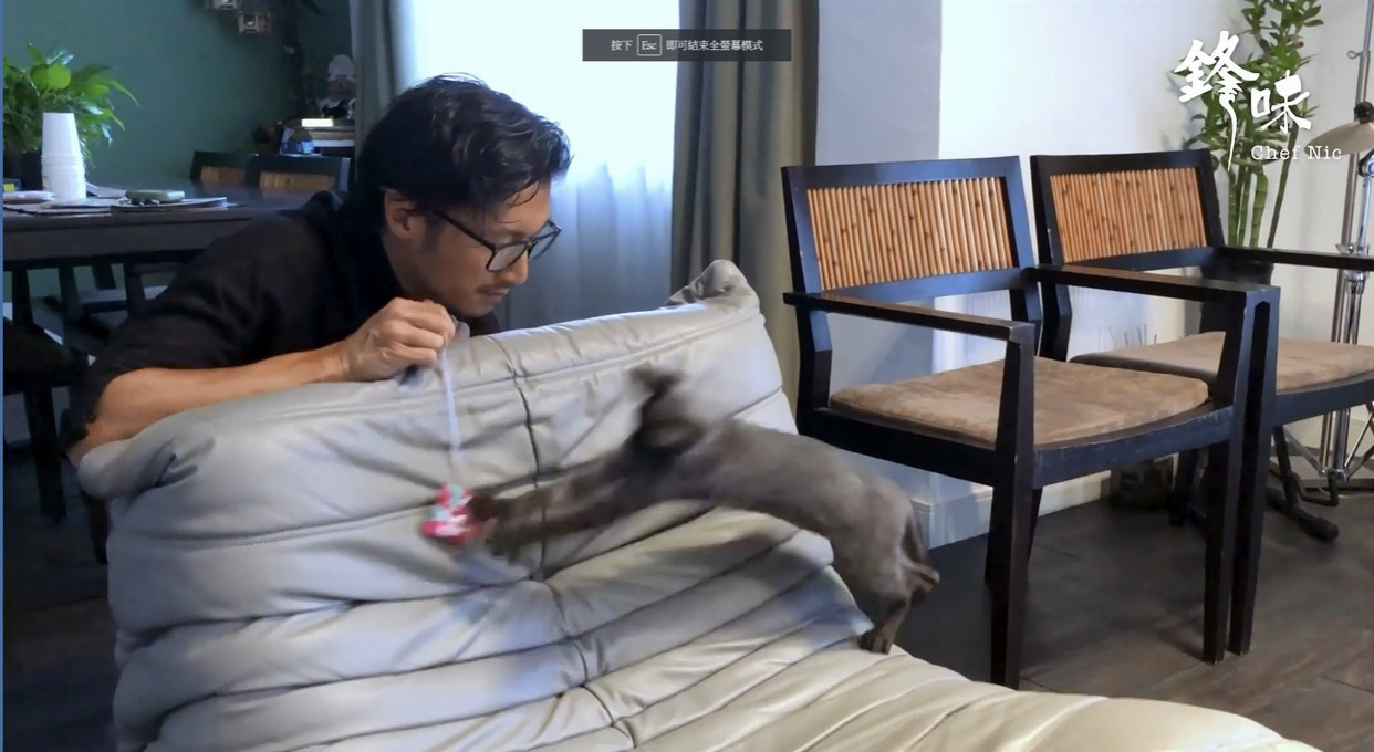 谢霆锋分享猫奴生活不慎令豪宅曝光一屋宠猫玩意