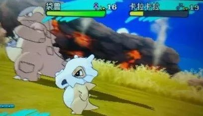 卡拉卡拉与袋兽的真实关系,其中折射的趋异进化方式!