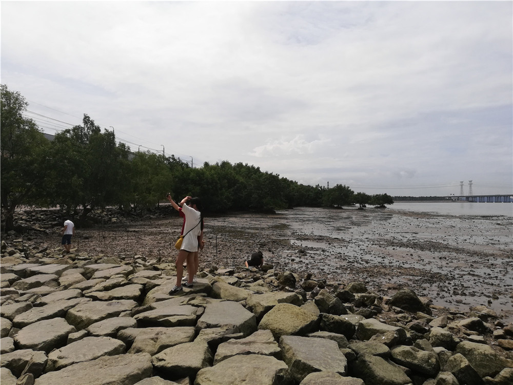 深圳隨拍:行走固戍,滄海變公園,工廠變寫字樓