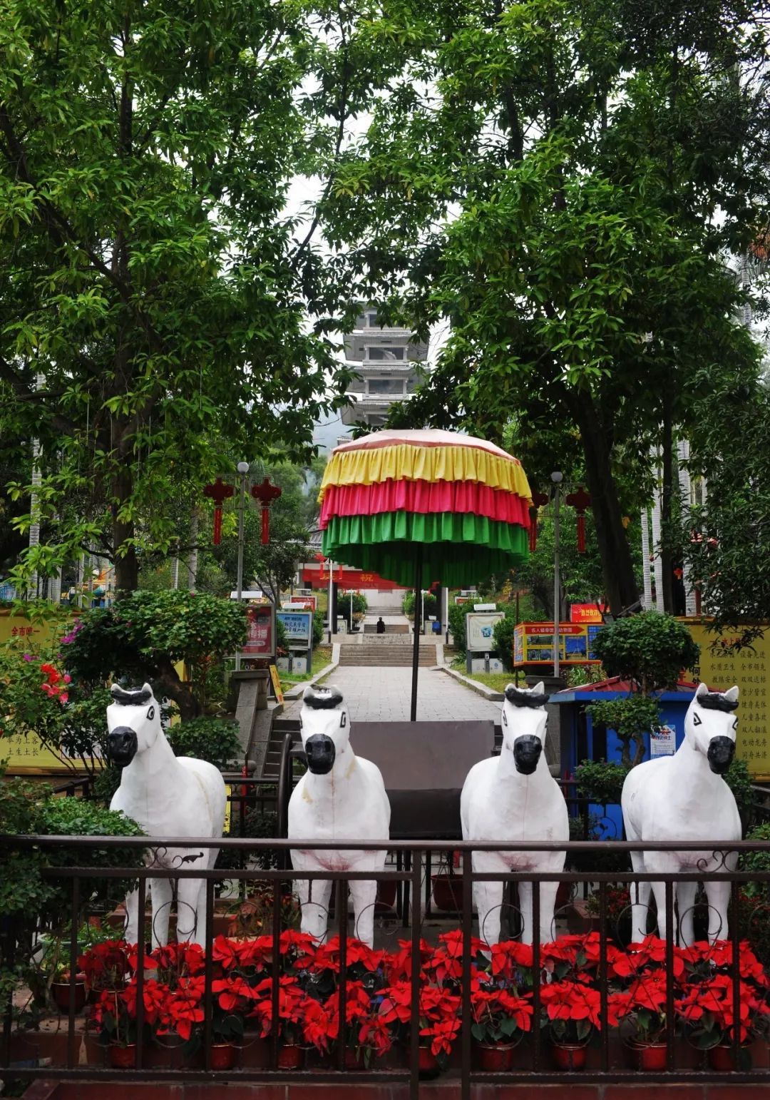 莆田第一公园凤凰山,何时能重获市民宠爱
