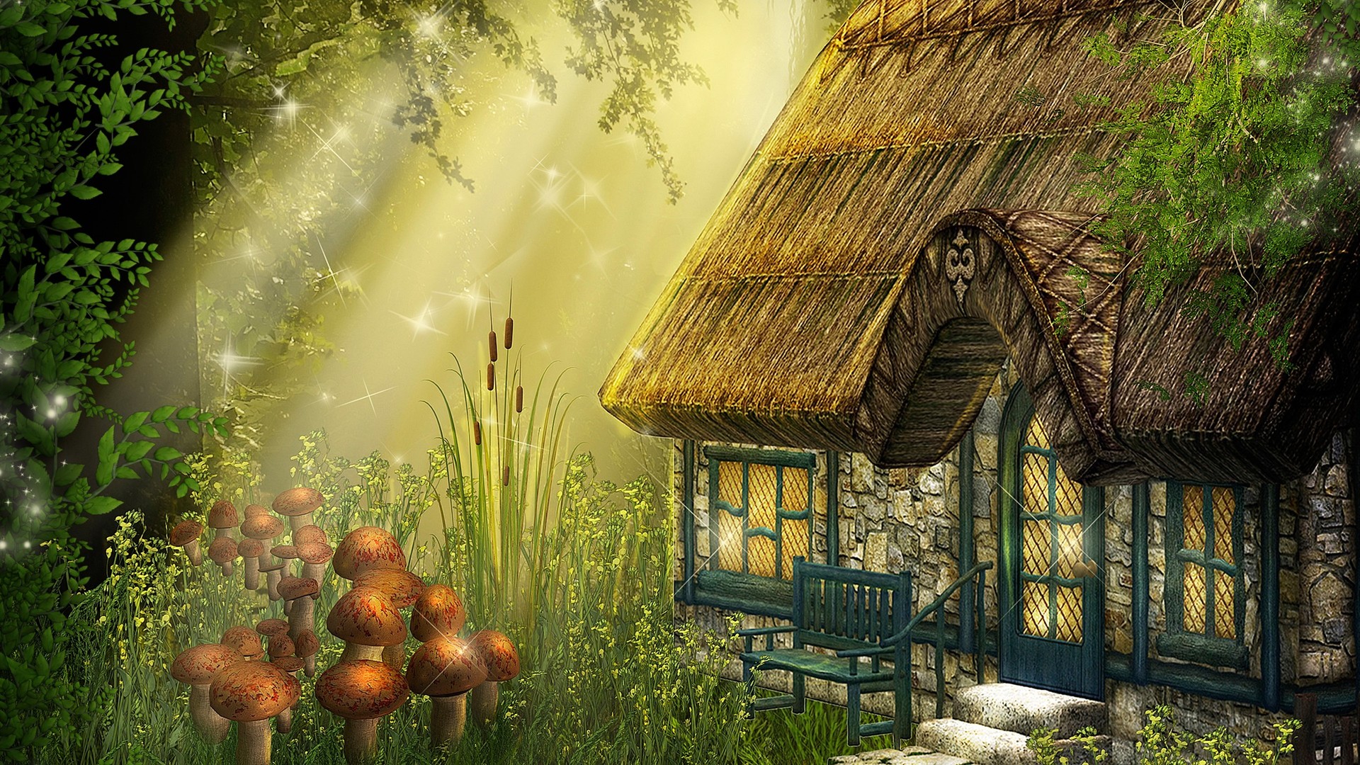 唯美的摄影背景笔记本电脑桌面图片,分辨率为1920x1080