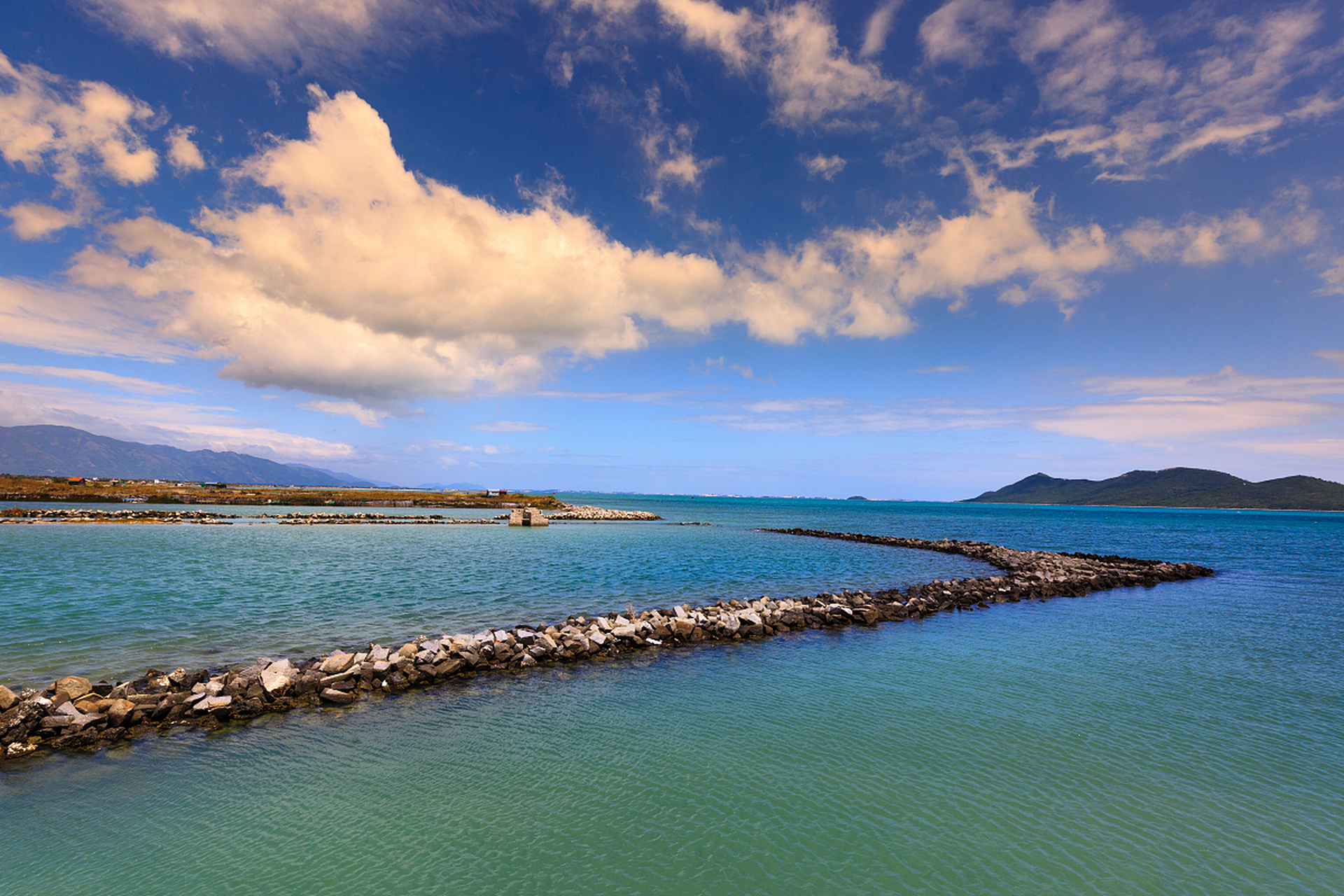 镜头里的春天# 春季旅游大墩海,除了神秘的生物,大墩海还有着丰富的