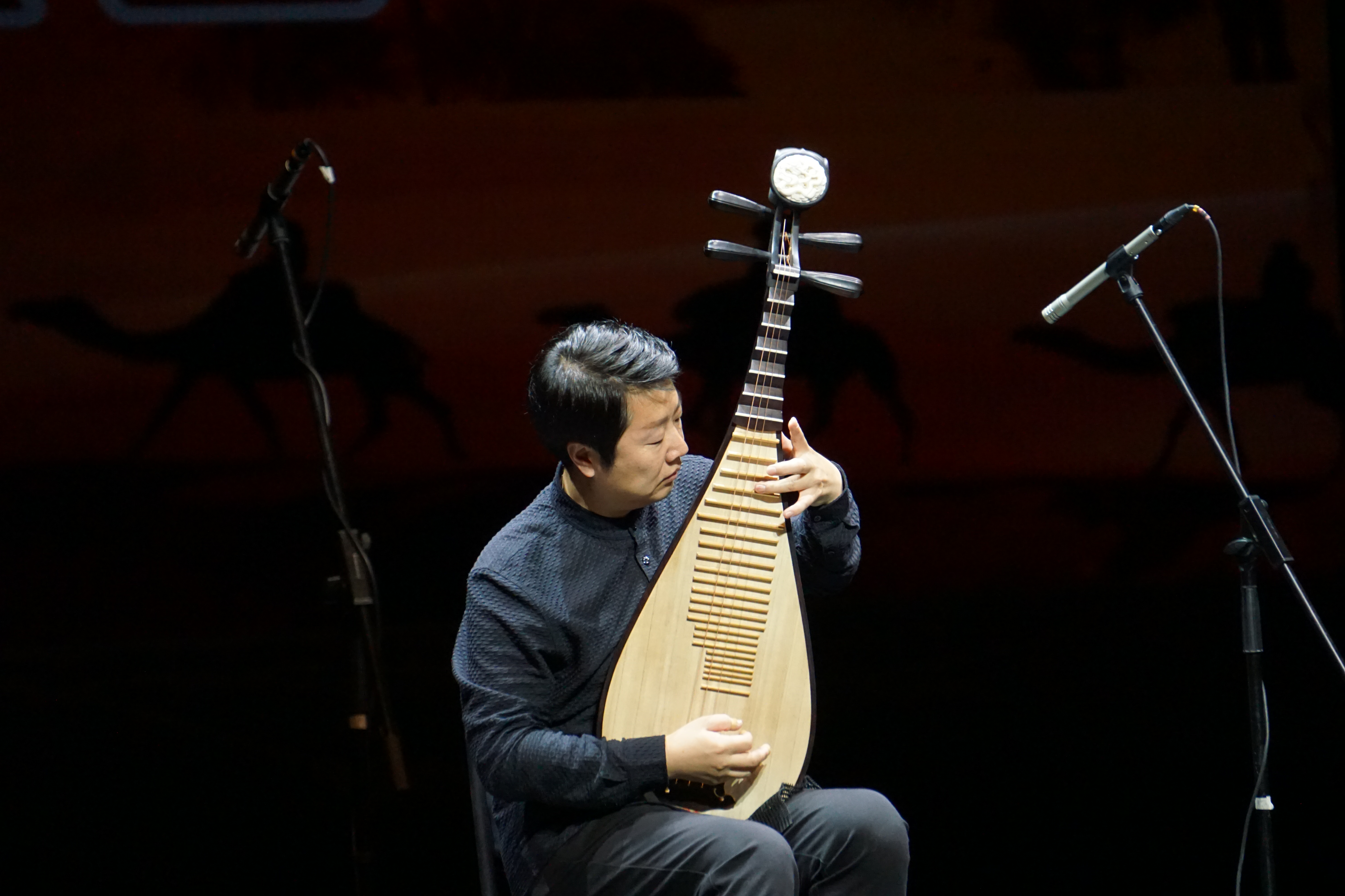 《敦煌国乐——中国国乐名家音乐会》在敦煌演出(1)