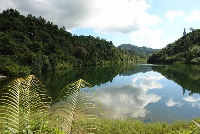 岳阳市天井山森林公园图片