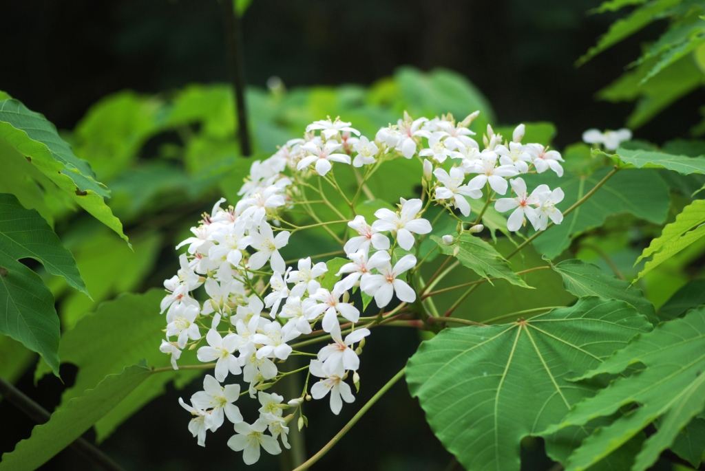 1 - 热门商品专区