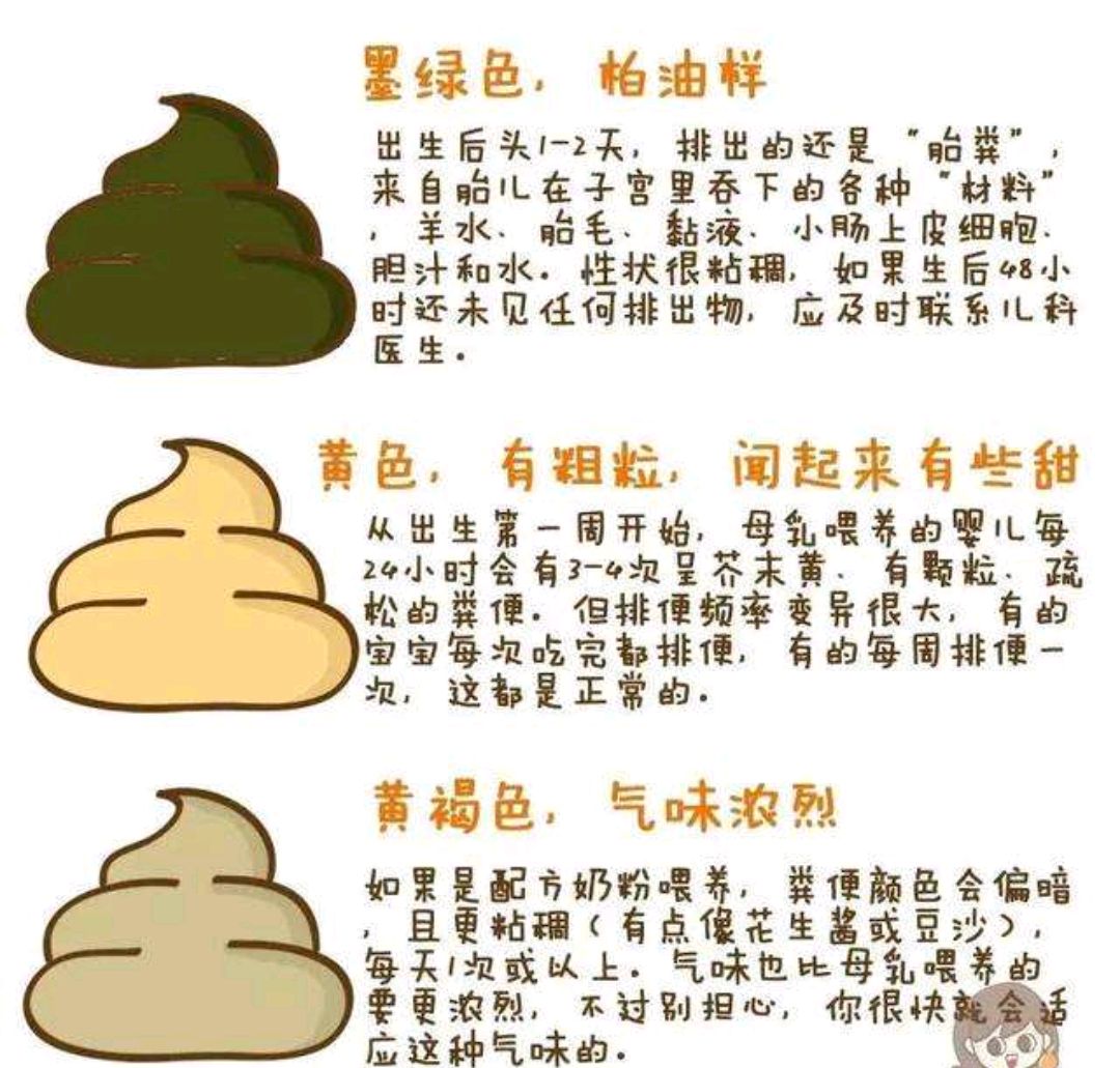 拉屎健康图图片