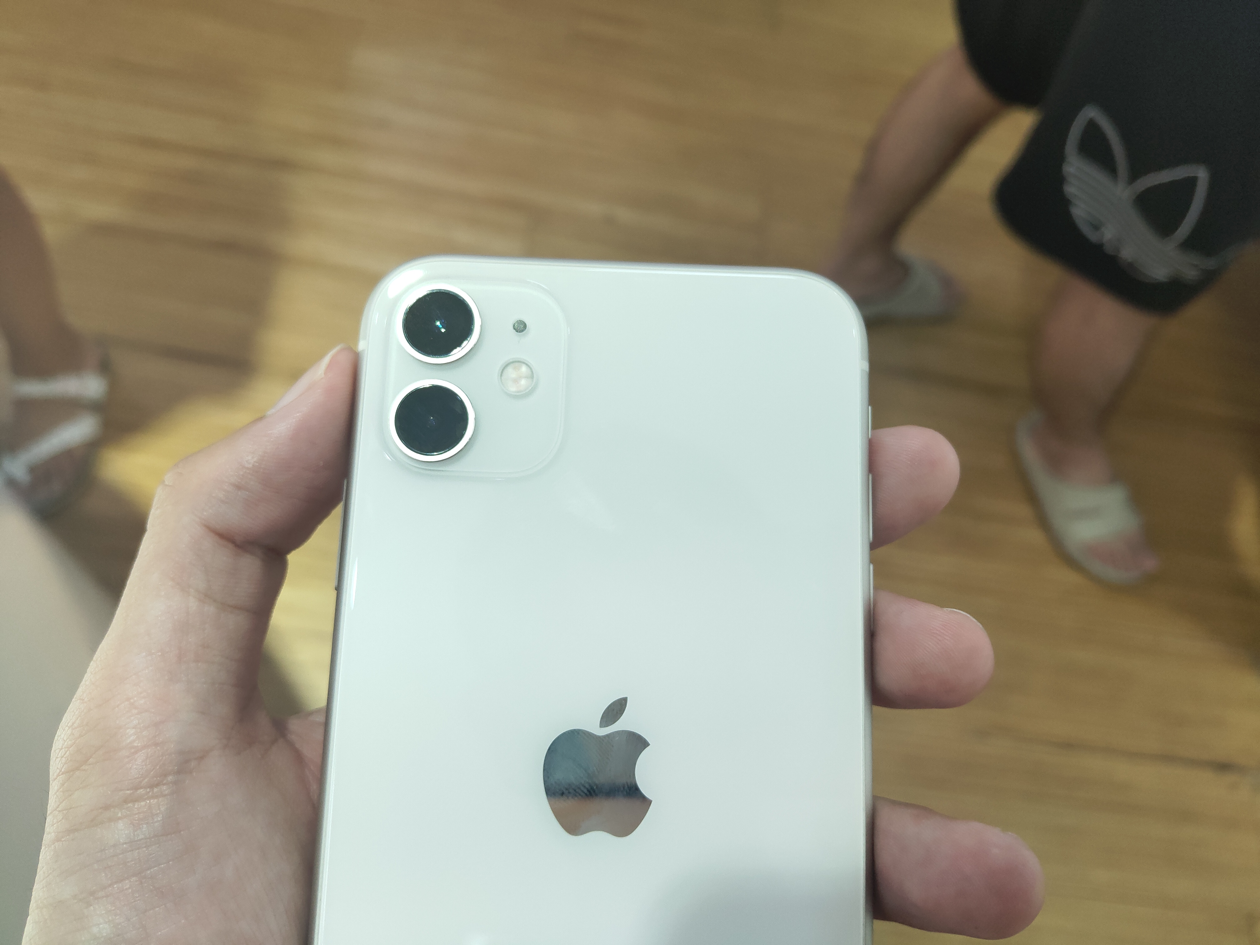 iphone 11配色怎么选?颜色分三档,买对了才能成为最骚气的仔!