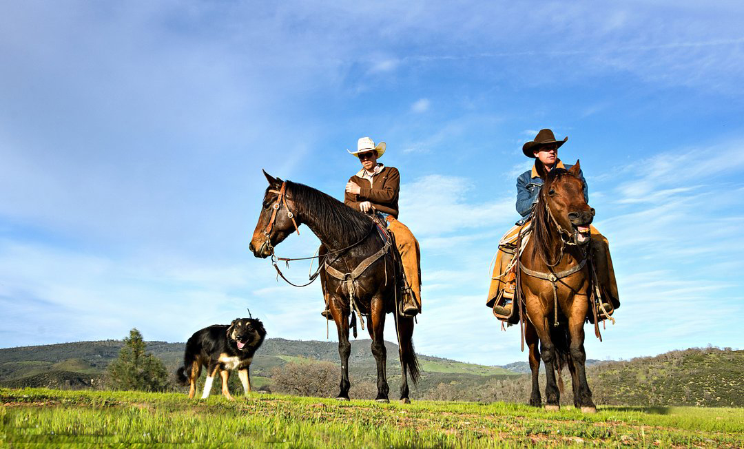 聪明的牧场主(哲理散文)