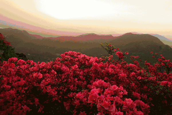 600_400gif 动态图 动图