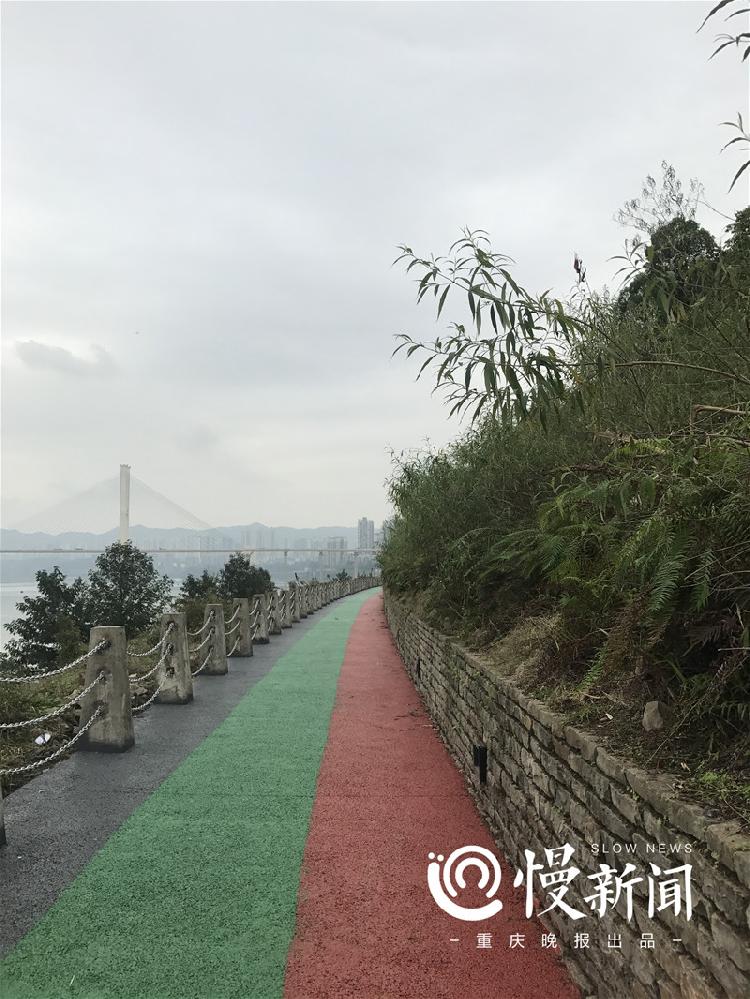 巴滨路自行车道路线图图片