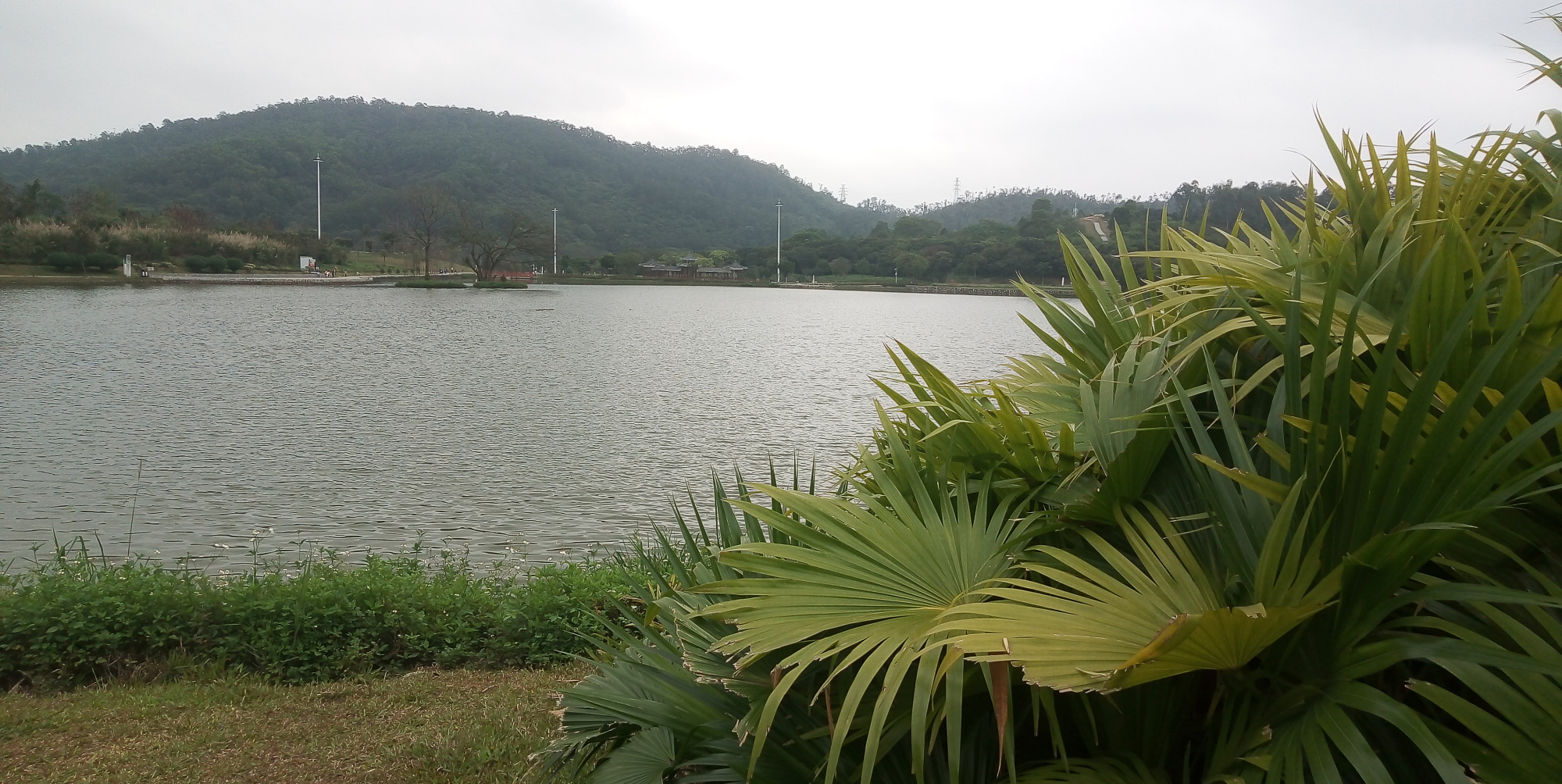 深圳龙岗坪地湿地公园实拍,这里的环境清新又美丽